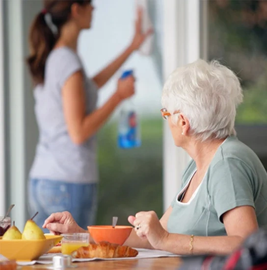 Luxend Cleaning Services