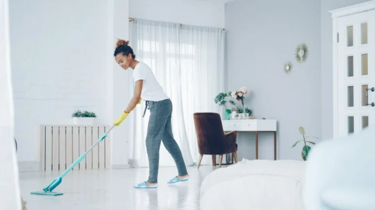 Luxend Cleaning Services and Fees