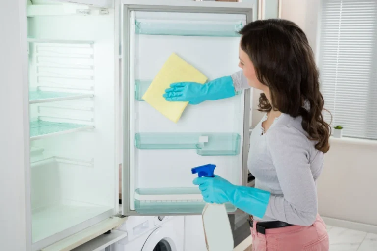 Luxend Cleaning Services - Fridge and Freezer Cleaning