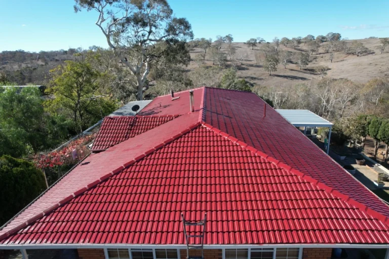 Roof and Fascia Painting