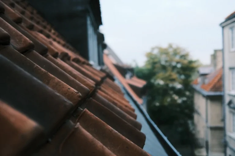 Luxend Roof and Gutter Cleaning